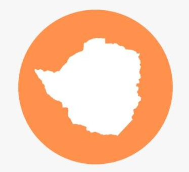 Zim Locals logo